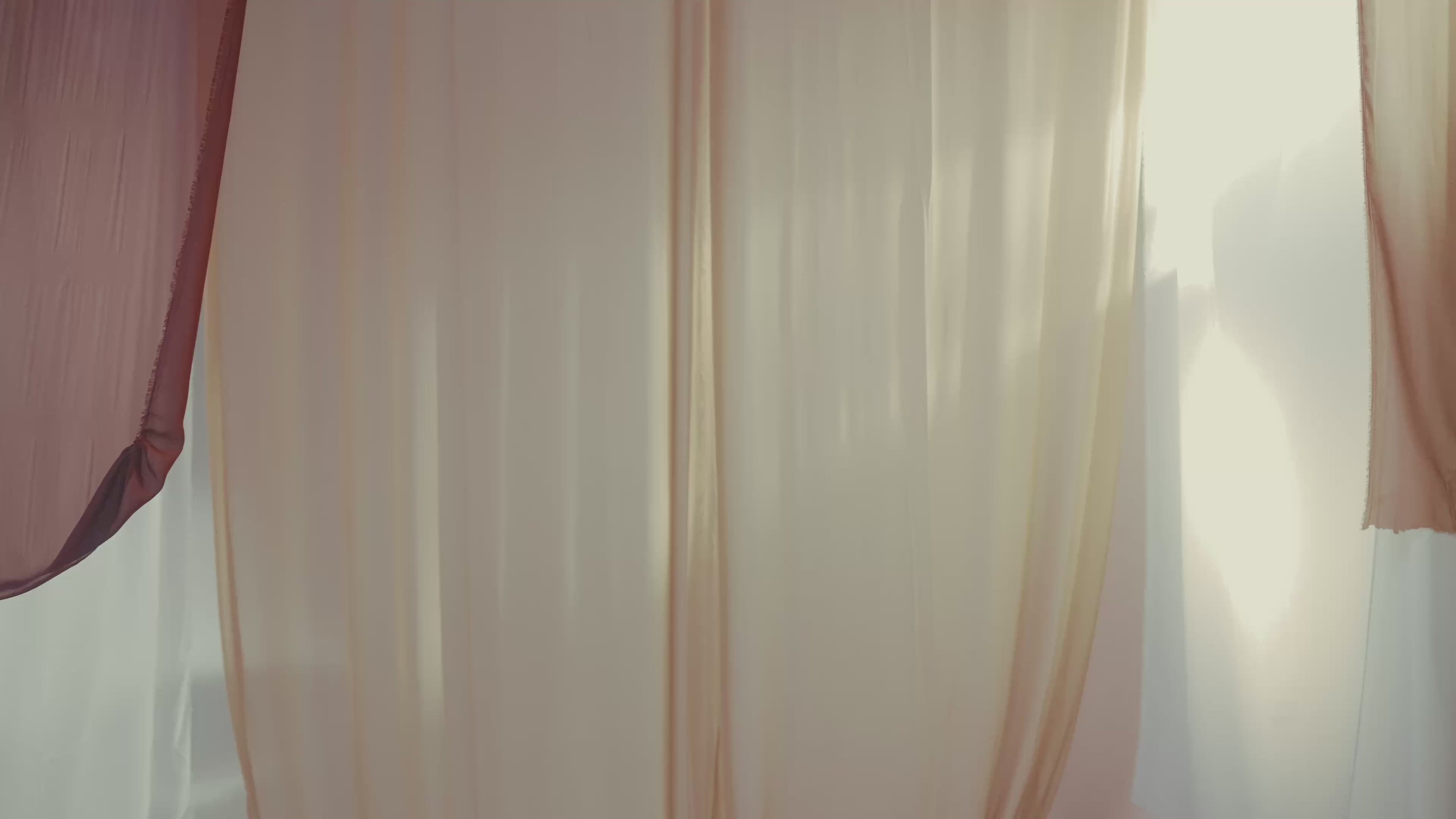 Wide-leg Pleated Trousers